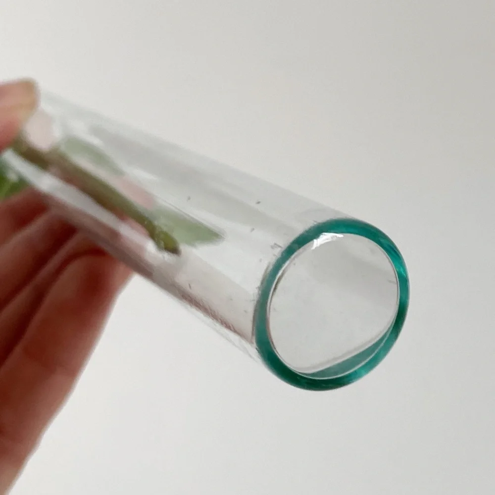 Minimalist Propagation Station Vintage Glass Test Tube Planter Plant